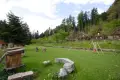 Panoramica giochi e asini